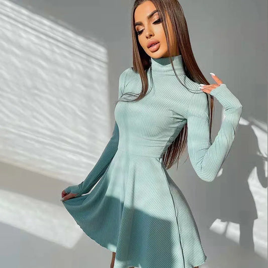 ”Excuse Me Miss” Elegant Long Sleeve Turtleneck Mini Dress